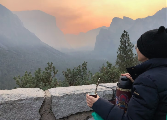 Yerba Mate Kit: Your Ultimate Guide