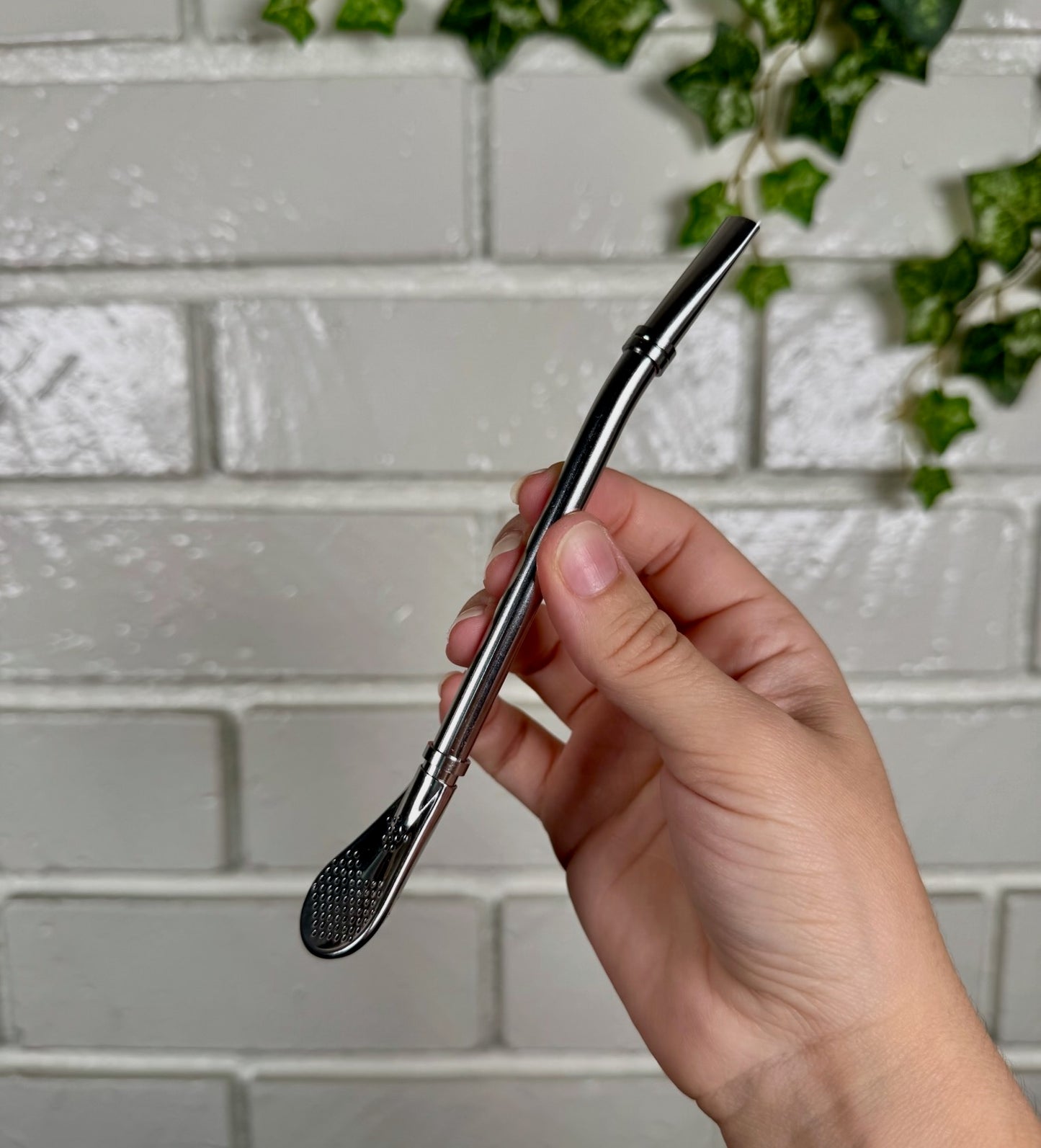 Stainless Steel Yerba Mate Bombilla with Cleaning Brush and Pouch
